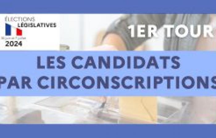 Elections législatives anticipées 2024 – Liste des candidats inscrits au premier tour – Actualités – .
