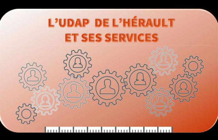 Udap de l’Hérault, missions et organisation