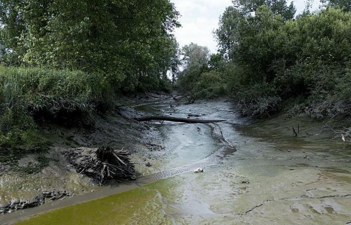 Comment la Flandre utilise la nature pour prévenir les inondations meurtrières