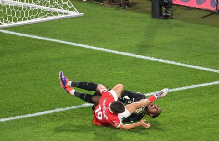 19 plaquages ​​en une mi-temps : contre l’équipe de France, l’Autriche s’est appuyée sur un match difficile
