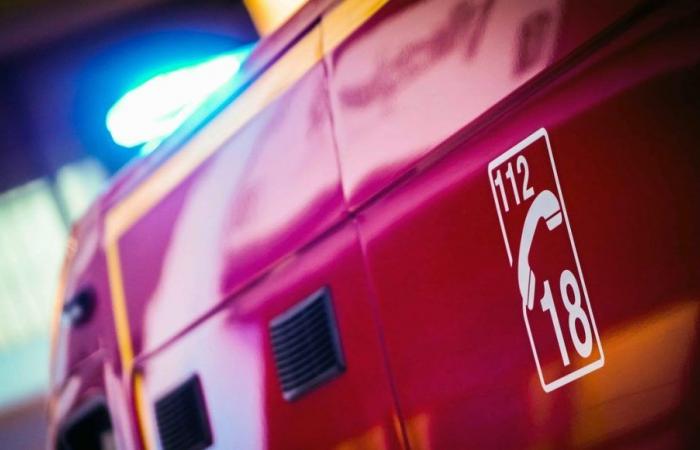 sept personnes, dont cinq jeunes de 19 à 20 ans, meurent dans un accident de la route près de Chartres