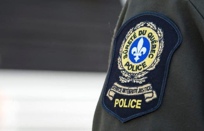 Quatre individus arrêtés pour trafic de drogue sur la Côte-Nord et au Saguenay-Lac-Saint-Jean