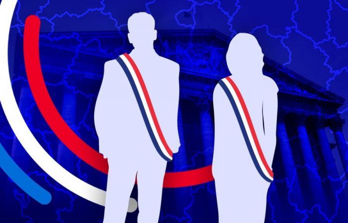 la 1ère circonscription du Bas-Rhin affiche un nombre record de candidats