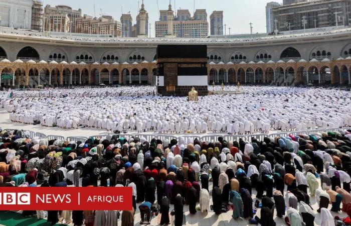 des centaines d’Africains meurent à La Mecque