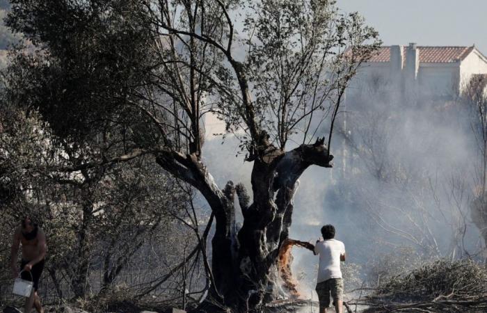 Grèce – Un incendie fait rage à 30 km au sud d’Athènes
