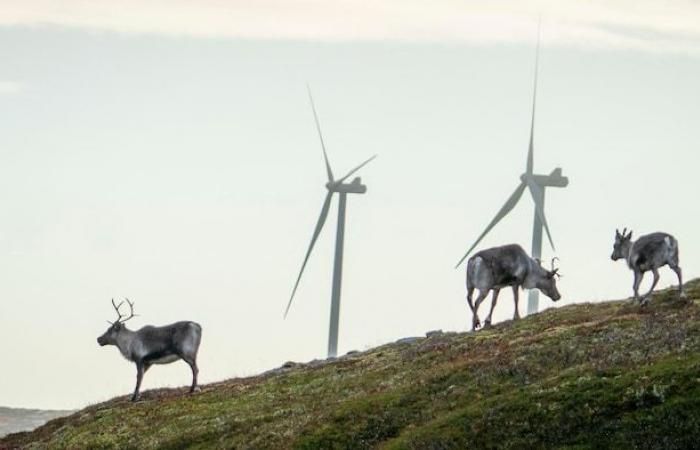 C’est ici que sont attendus les « méga-parcs éoliens » d’Hydro-Québec