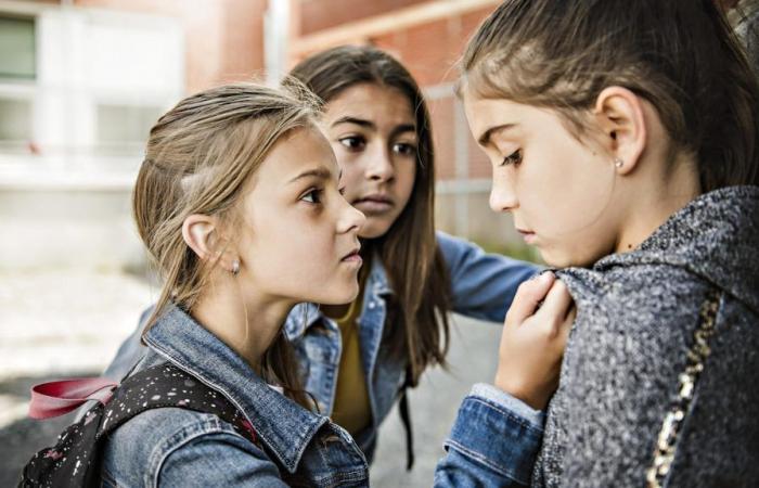 La Nouvelle-Écosse promet d’agir plus rapidement contre la violence à l’école