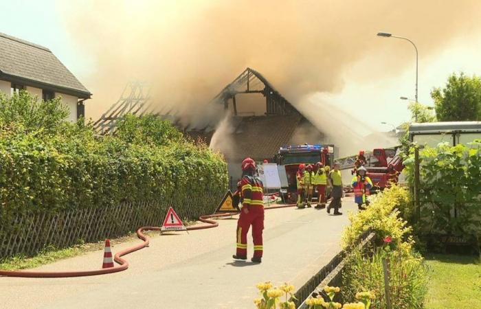 Grosseinsatz wegen Brand à Dintikon – Bund gibt Entwarnung – .