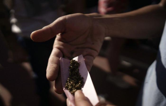 Avec leur « appel du 18 joint », les fumeurs de cannabis s’efforcent de « respirer un peu »
