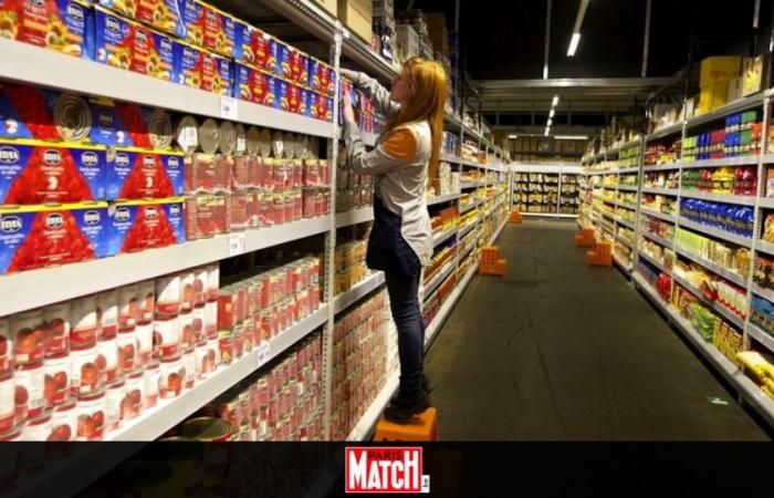 en Belgique, les cinq grandes chaînes de supermarchés n’en font pas assez