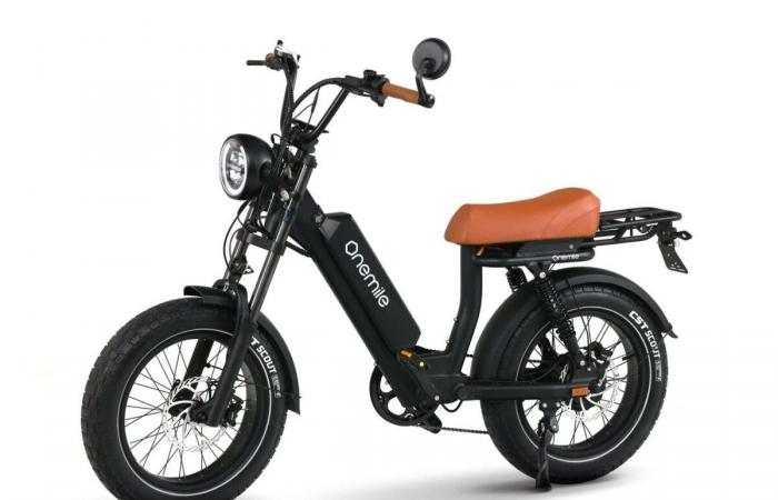 ce speedbike atteignant 45 km/h coûte le prix d’un vélo électrique classique