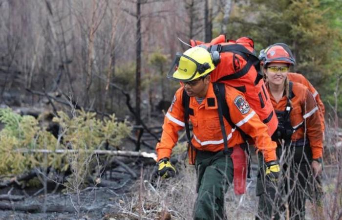 La SOPFEU travaille à éteindre un feu de forêt entre Murdochville et Gaspé