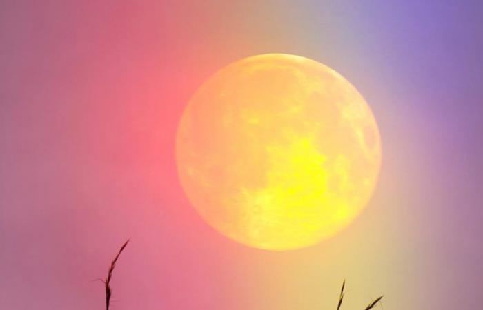 Ce que la pleine lune en Capricorne de juin 2024 signifie pour votre signe