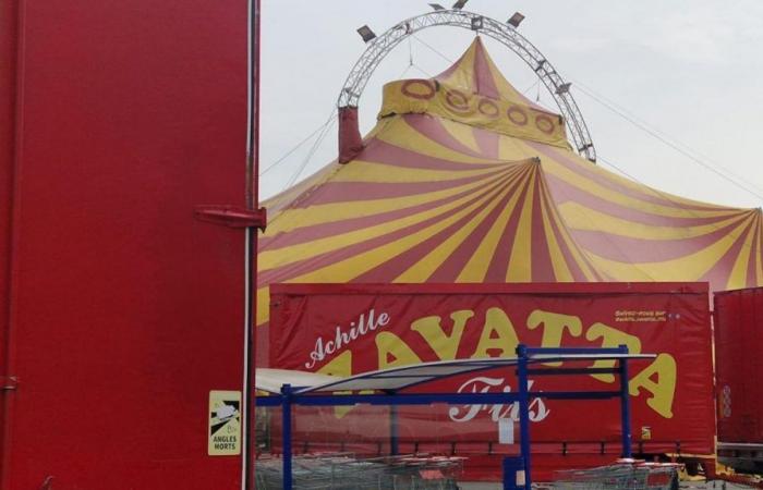 Le cirque Zavatta installé à Saint-Quentin sans autorisation