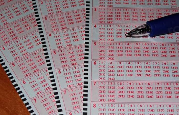 1,6 million d’euros saisis dans une opération contre les loteries illégales