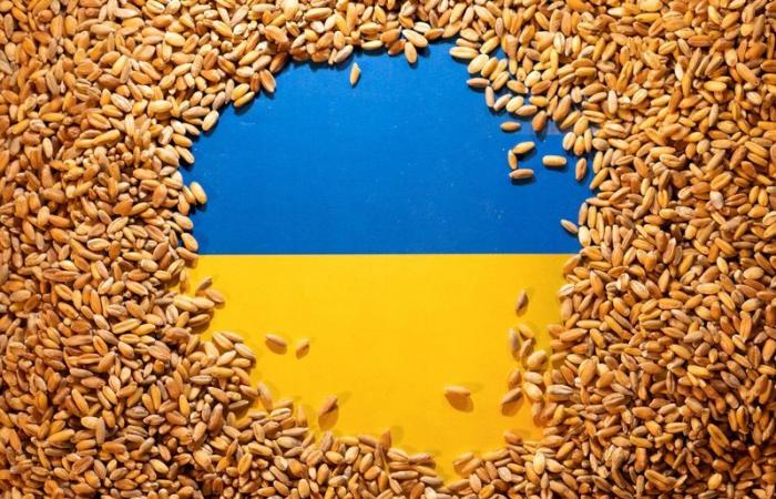 Le mécanisme de prix minimum pour les exportations alimentaires ukrainiennes entrera en vigueur en août, selon un responsable