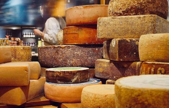 Les bienfaits cachés du fromage sur la santé mentale et l’espérance de vie