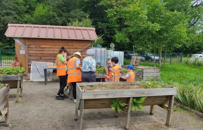 Moment de partage entre enfants et retraités dans un jardin à Belfort