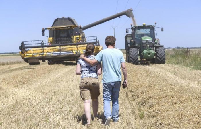 INSTALLATION | La nouvelle génération d’agriculteurs a-t-elle les épaules pour reprendre le flambeau ?