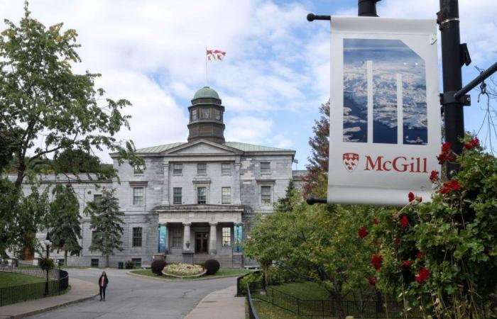 Les professeurs de droit de McGill suspendent leur débrayage