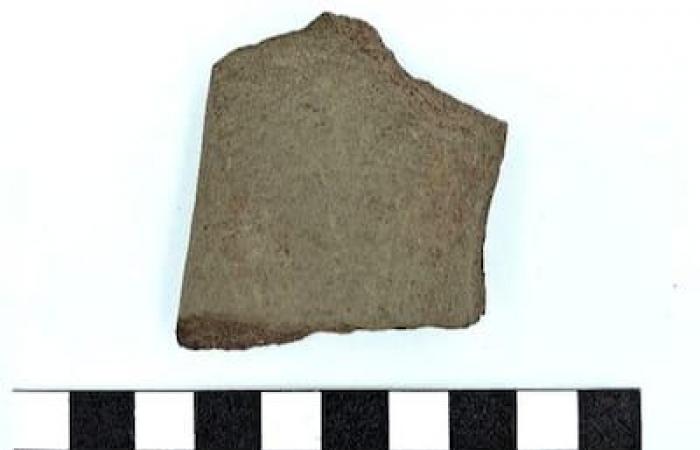 [EN IMAGES] Des artefacts autochtones très rares datant de 4000 ans découverts à Montréal