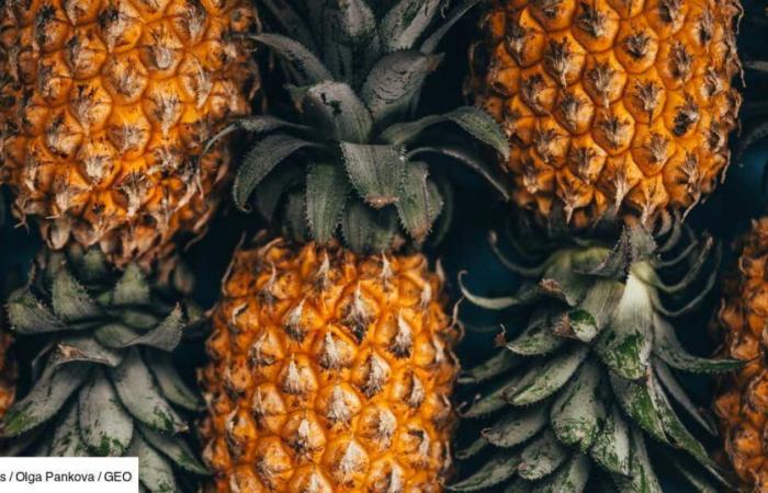 Cette matière en feuille d’ananas pourrait-elle révolutionner l’industrie du cuir ? – .