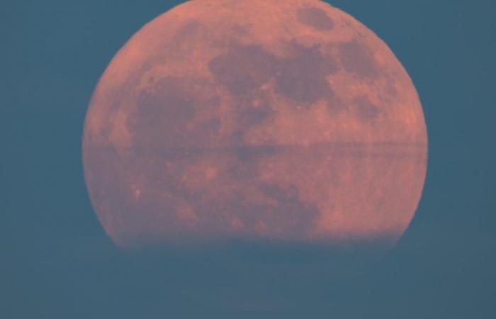 Quand voir la « lune aux fraises » et pourquoi elle est rare – NBC Chicago