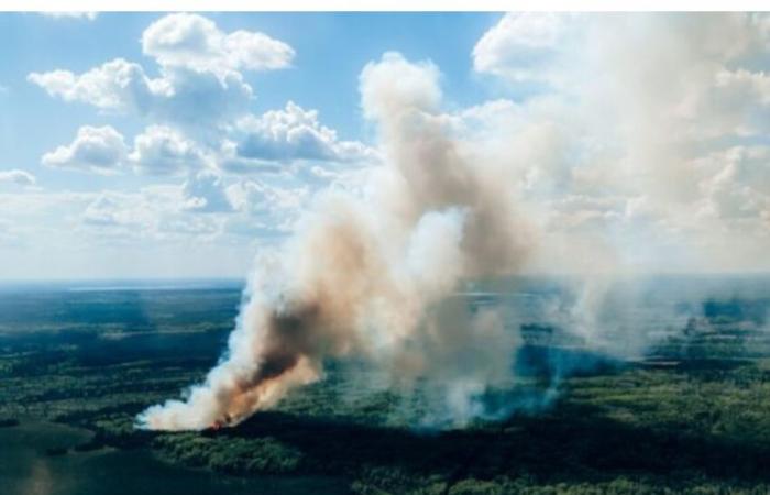 Les feux à ciel ouvert dans ou à proximité des forêts sont interdits dans tout l’Est du Québec