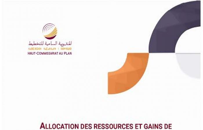 Allocation des ressources et gains de productivité dans le secteur manufacturier marocain