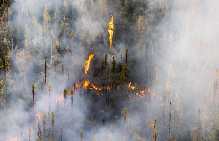 Un feu de forêt menace la ville de Port-Cartier