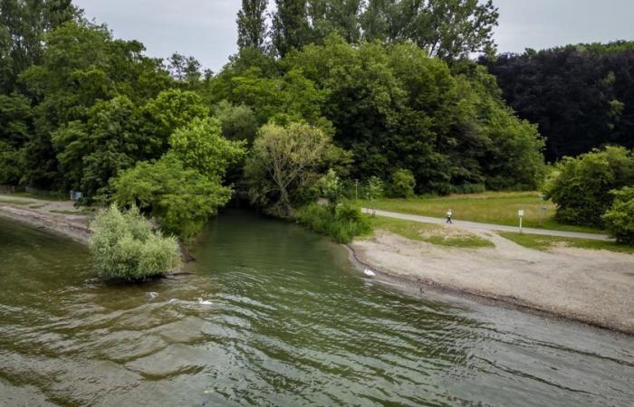 Vaste projet de sécurisation du ruisseau de la Broye et de la Chamberonne — rts.ch — .