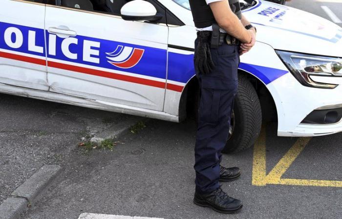 Carcassonne. Une fillette de 6 ans a-t-elle été agressée sexuellement à Viguier ? – .
