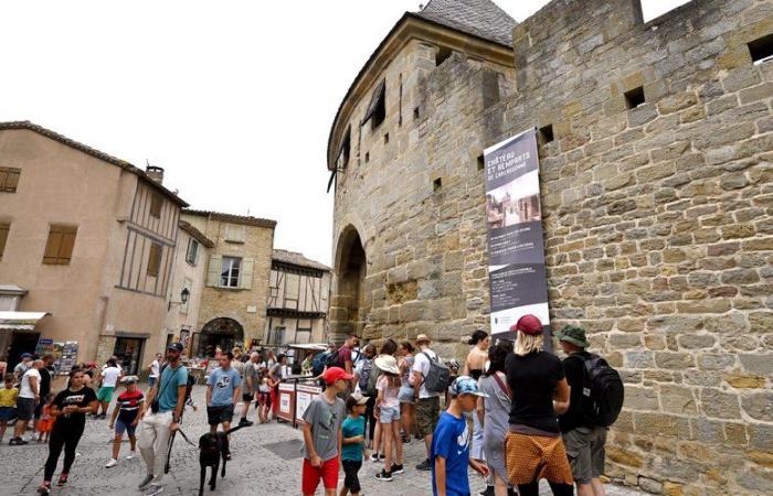 La surpopulation à Carcassonne, « une idée reçue tenace »