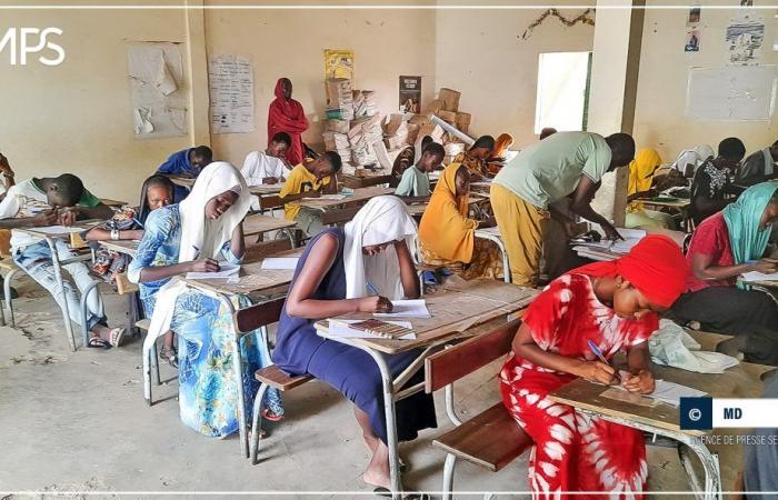 baisse du nombre de candidats inscrits au CFEE et entrant en sixième à Kaolack (IA) – Agence de presse sénégalaise – .
