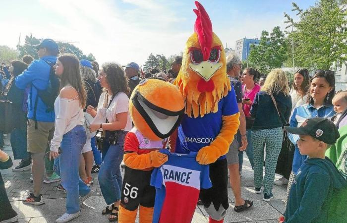 A Lorient, Mini Merlux rejoint l’équipe française des mascottes