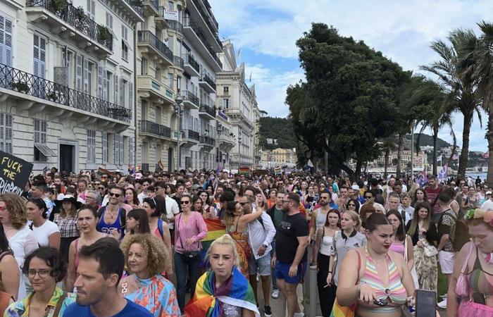 Défilé festif, contestataire et politisé ce dimanche à Nice
