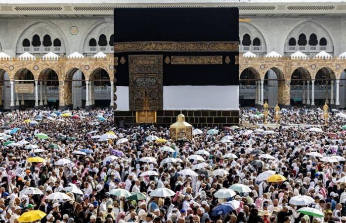 L’Égypte prend des mesures sévères contre les agences de tourisme après les décès dus au hajj
