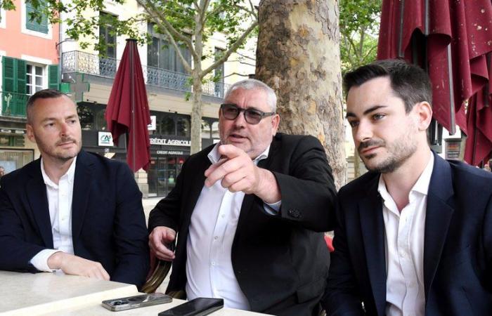Élections législatives dans l’Aude. Comment font campagne les trois députés RN sortants