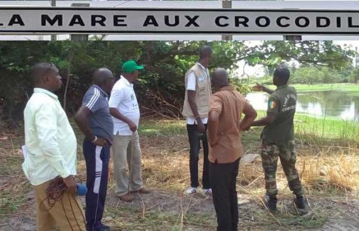 Reportage sur la visite de presse à l’étang aux crocodiles de la commune de Dialambéré (région de Kolda) – VivAfrik