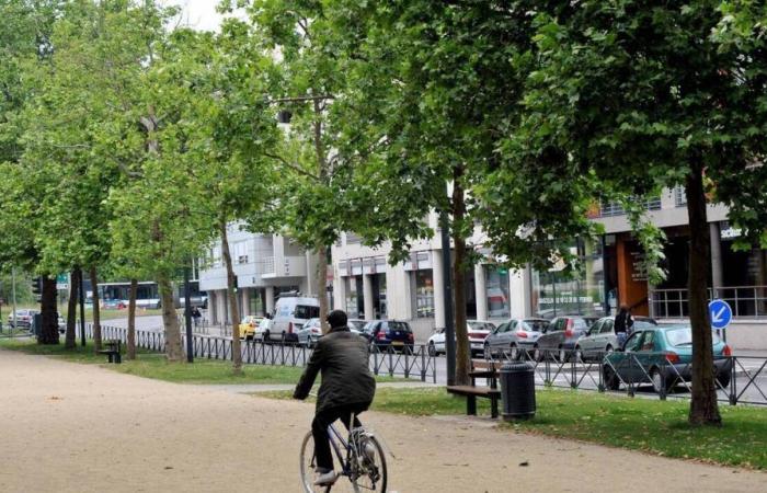 La femme renversée par un scooter sur le centre commercial Mitterrand à Rennes est décédée