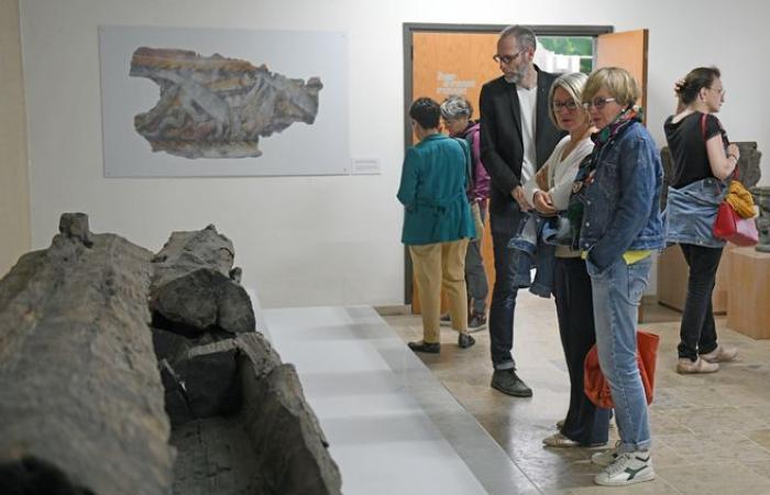 Après des mois de fermeture, le musée d’art et d’archéologie d’Aurillac revient au public