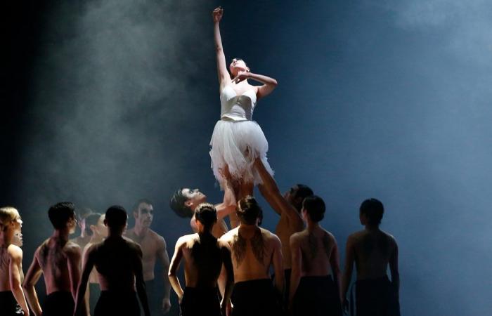 Le Ballet de Leipzig prend un nouveau départ – Danse avec la plume – Actualités danse – .