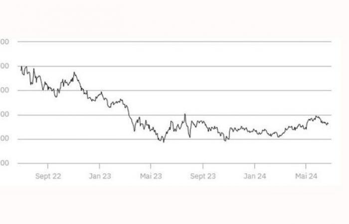 Les prix du colza augmentent sur Euronext