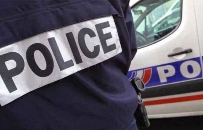 À Dieppe, il mord un policier après son arrestation pour conduite en état d’ivresse – .