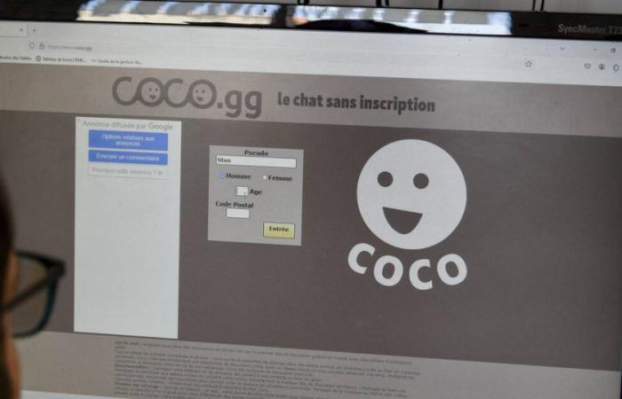 Coco.gg, site de rencontre utilisé pour des embûches homophobes, fermé par la justice française – Libération