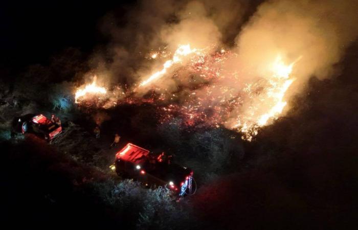 Face à des incendies hors de contrôle, l’état d’urgence déclaré dans un État brésilien