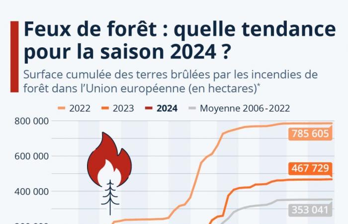 quelle tendance pour la saison 2024 en Europe ? – .