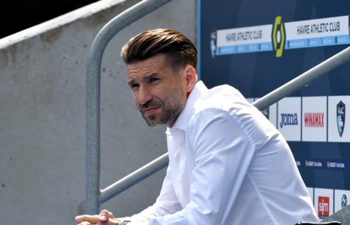 Reims recrute l’entraîneur Luka Elsner
