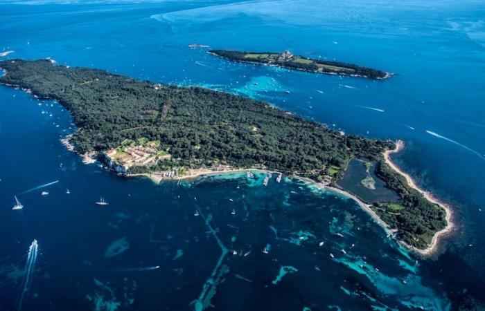 Deux îles pour profiter de la nature sur la Côte d’Azur