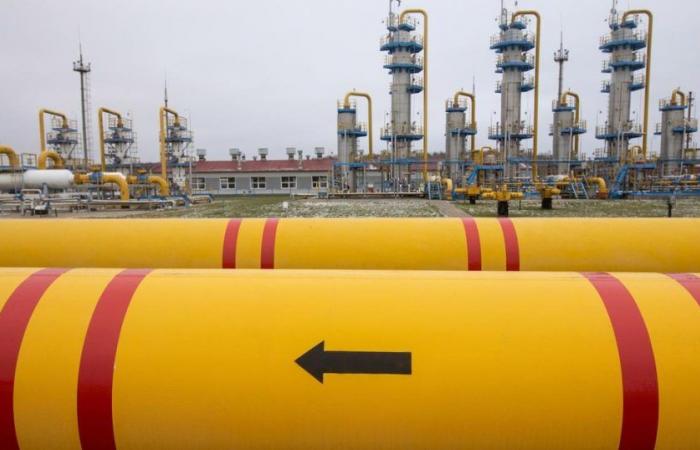 L’Europe n’est pas suffisamment armée pour faire face à une future crise du gaz